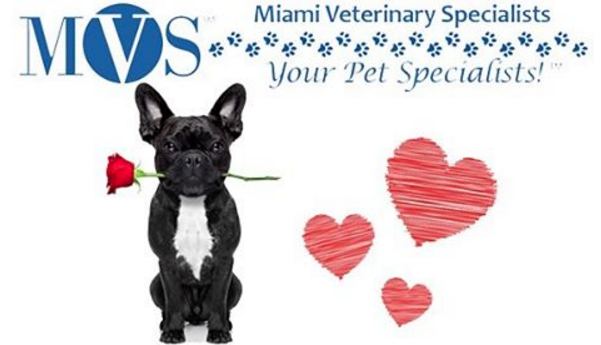 pet's Valentine’s Day