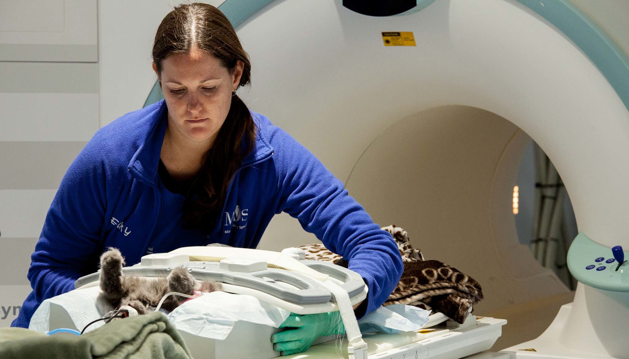 Pet Neurology Exam - MRI