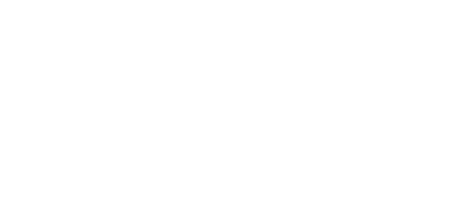 MVS Logo