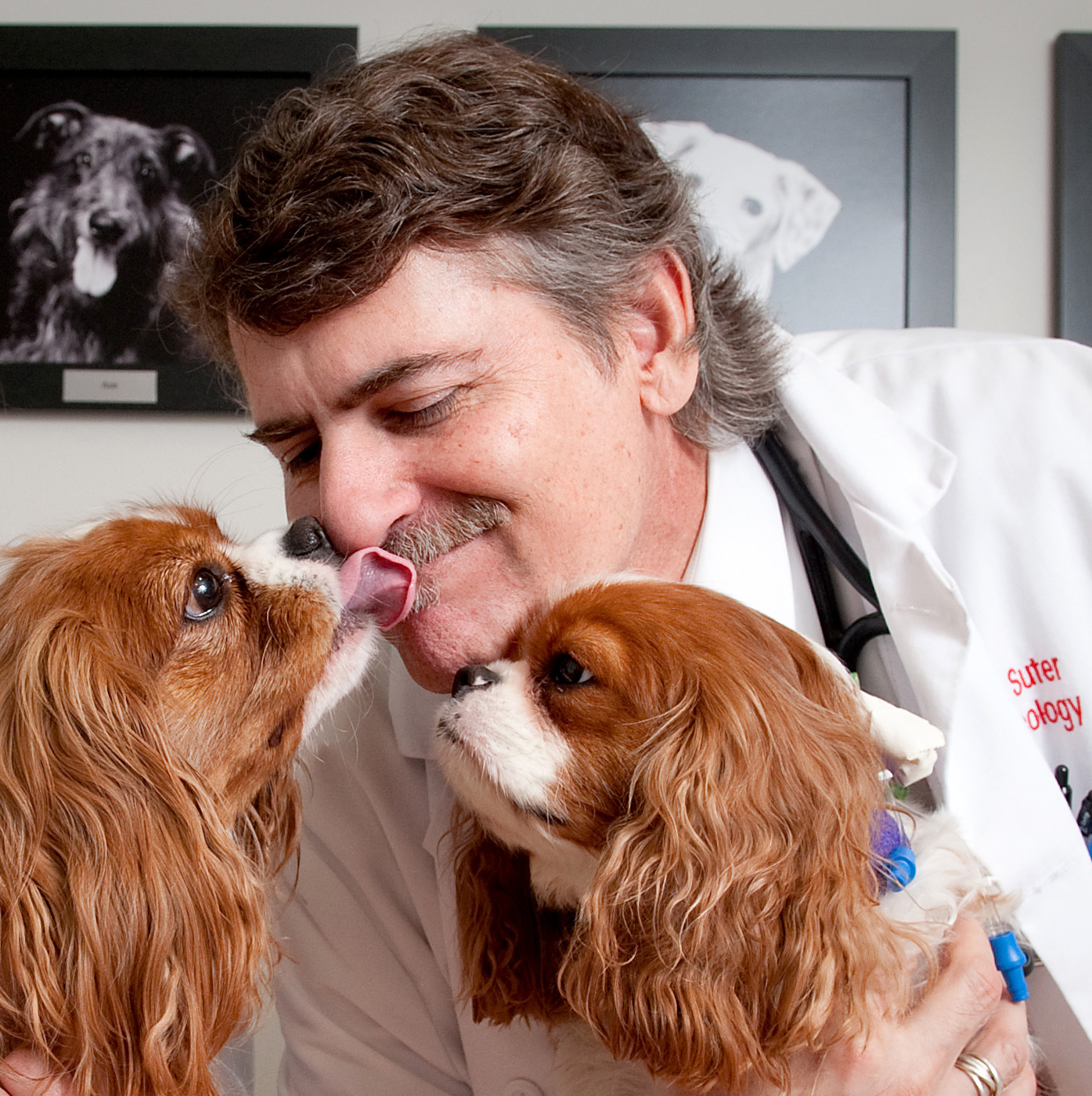 Dr-Steven-Suter-Oncologist