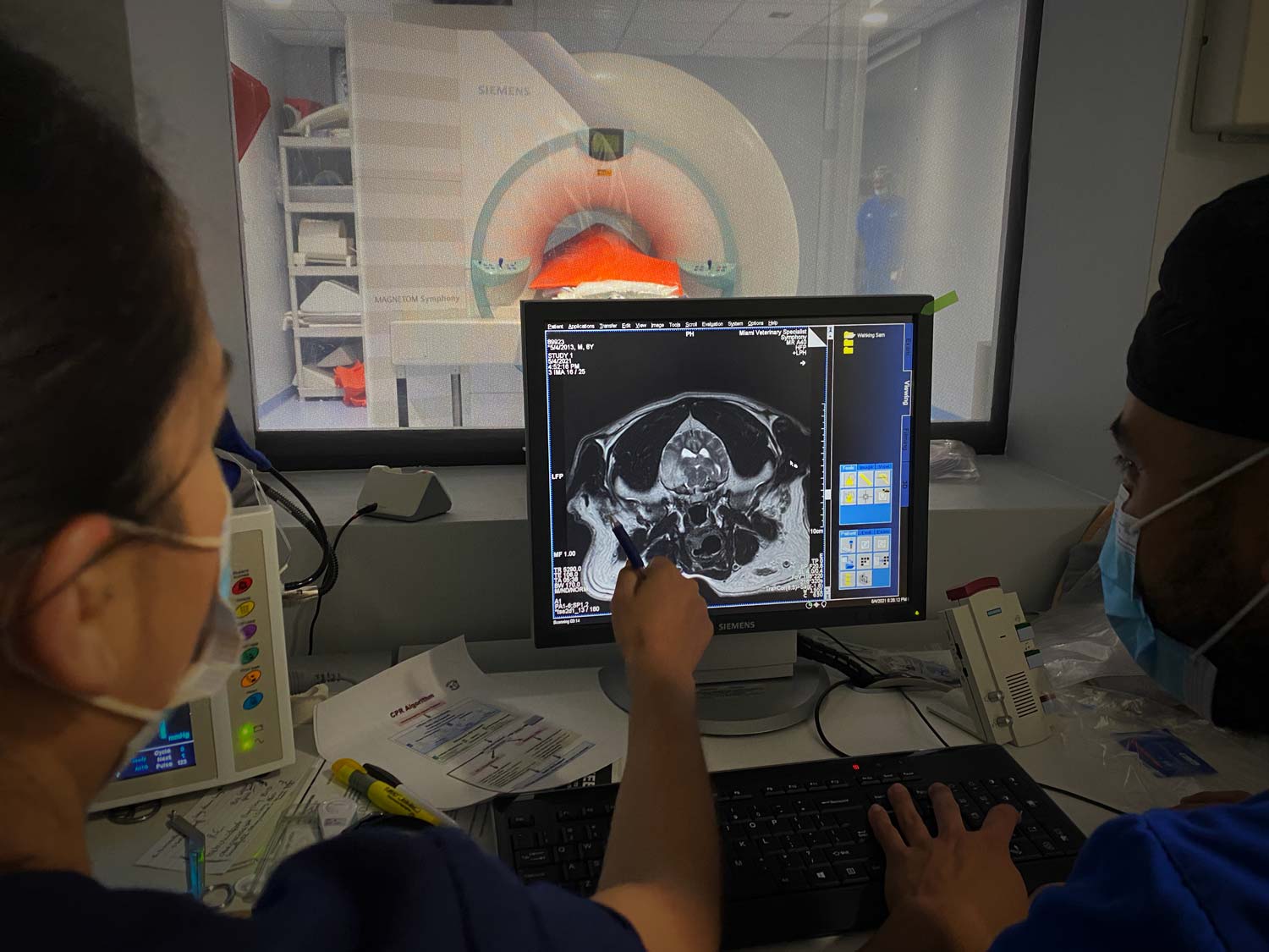 MVS-Neurology-MRI-Brain-Scan-Web