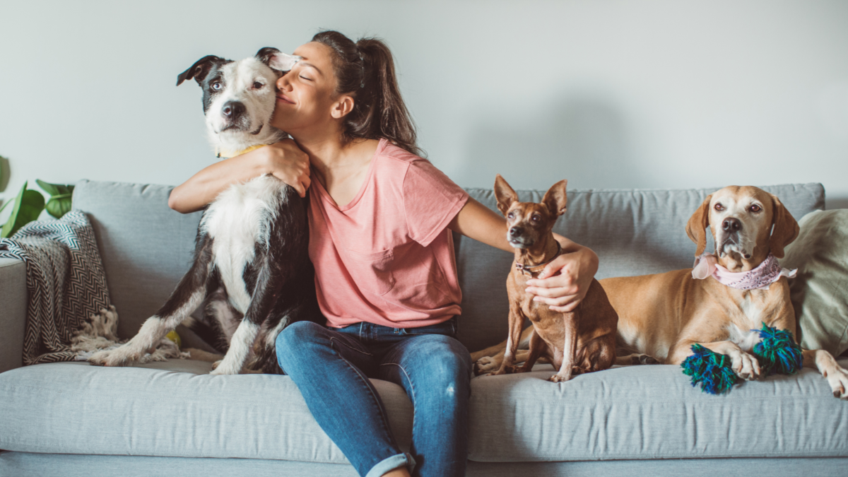 Happy healthy dogs and owner sitting together, celebrating National Pet Day.