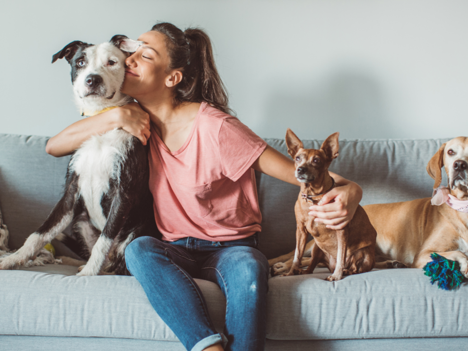 Happy healthy dogs and owner sitting together, celebrating National Pet Day.